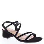 BARRY-6 BLACK (I2)